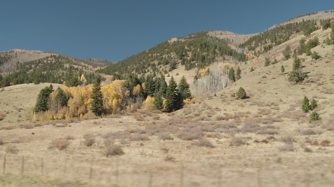 paisaje de montañas y árboles