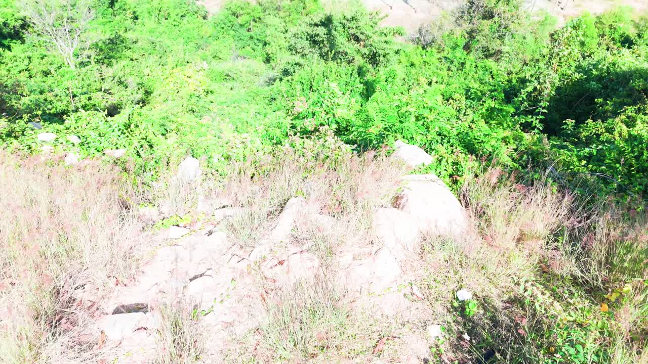Aerial View Dolly of the Beach and Sea in Ninh HảI District.