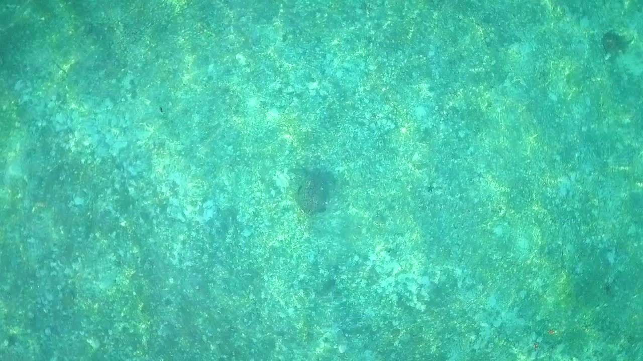 말레이시아의 맑고 투명한 물과 거북이 위의 공중 비행, 새의 눈 관점이 상승하고 느린 동작으로 회전