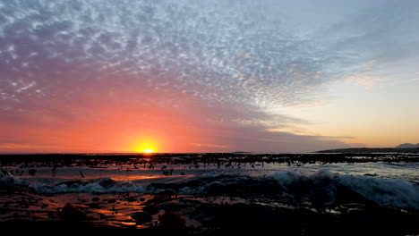 Vibrante-Puesta-De-Sol-Costera,-Sol-En-El-Horizonte-Reflejándose-En-El-Océano-Con-Algas