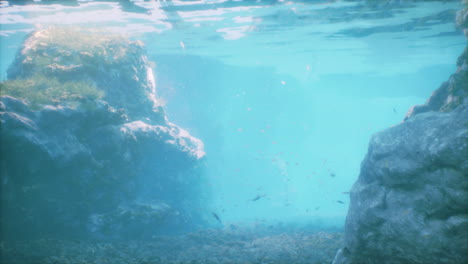 underwater scene with sunbeams