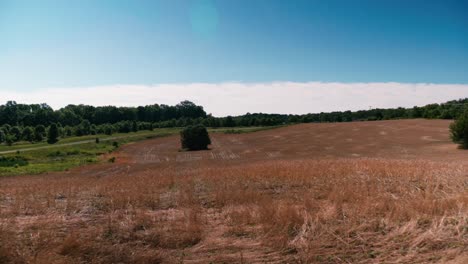 Dolly-Auf-Weizenfeld-Bergab