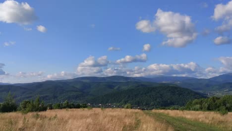 summer carpathians