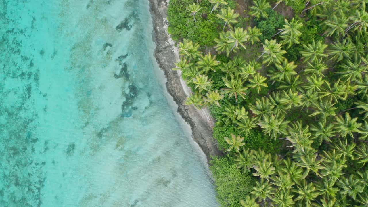 Azurblåt vand på stranden med kokospalmer på Fijiøen – droneoptagelse fra luften