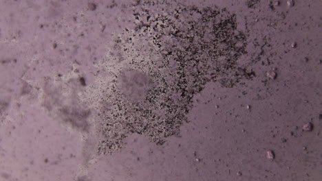 abstract microscopic texture