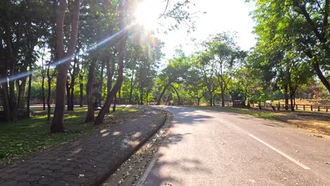 un paseo sereno a través de un camino de zoológico iluminado por el sol