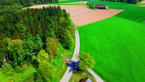 vista aérea panorámica de campos verdes vibrantes y bosques que invaden