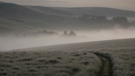 paisaje de mañana brumoso