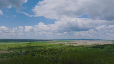 Antena-Sobre-Bosques-Jóvenes-Verdes-Que-Muestran-Cielos-Azules-Nublados-Y-Campos-Agrícolas-En-La-Distancia