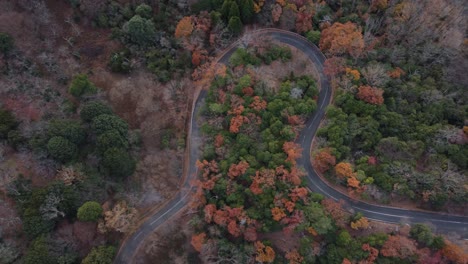 Skyline-Aerial-view-in-Mount-Wakakusa,-Nara