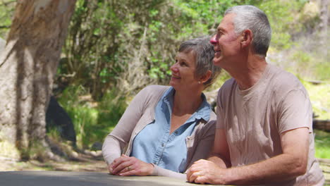 Pareja-Sentada-A-La-Mesa-Juntos-En-Un-Paseo-Al-Aire-Libre