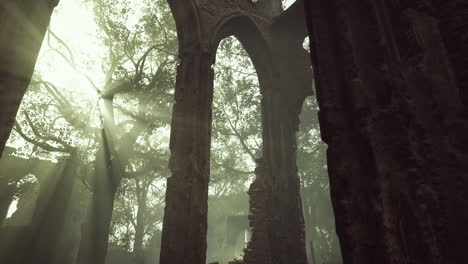 ruins in the forest