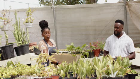 african american woman in apron discussing plants with man holding coffee at nursery, in greenhouse