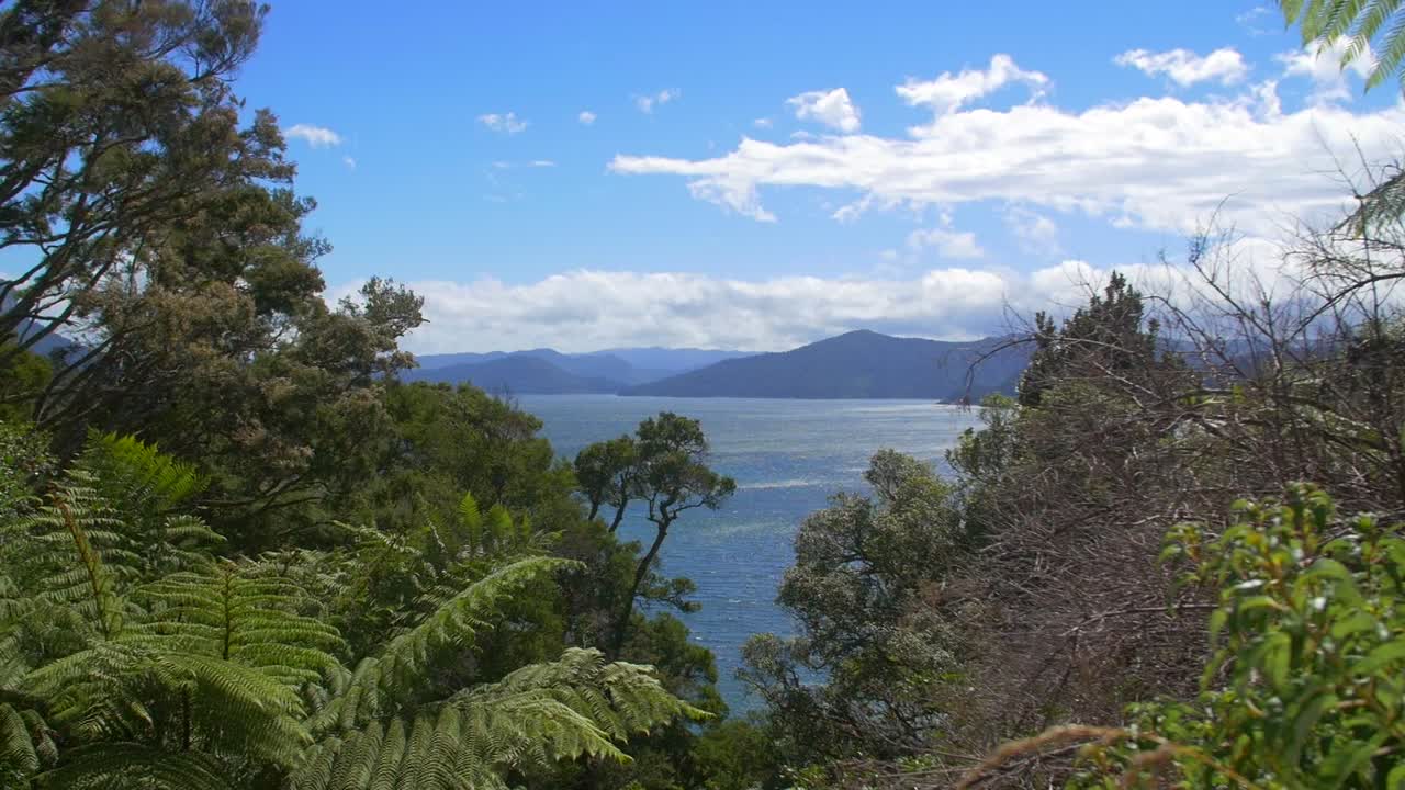 뉴질랜드 와이카레모아나 호수