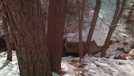 Panning-shot-along-a-small-mountain-creek-in-the-winter