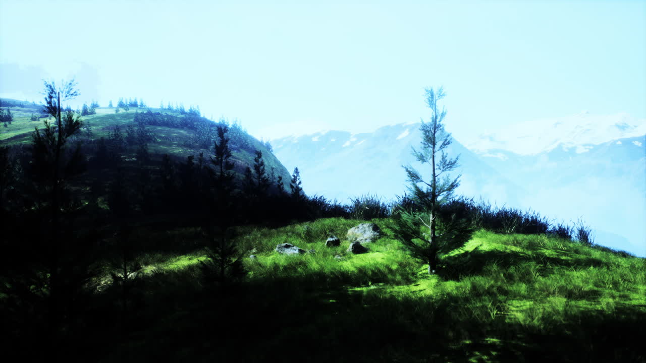 una vista panorámica de una cordillera con árboles y hierba en primer plano