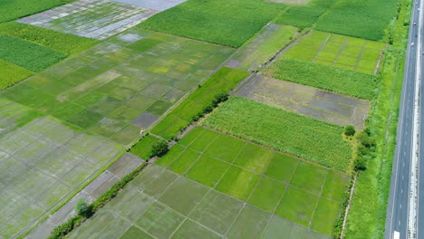 Toma-Aérea-De-Grandes-Lotes-Agrícolas-Al-Lado-De-Una-Autopista