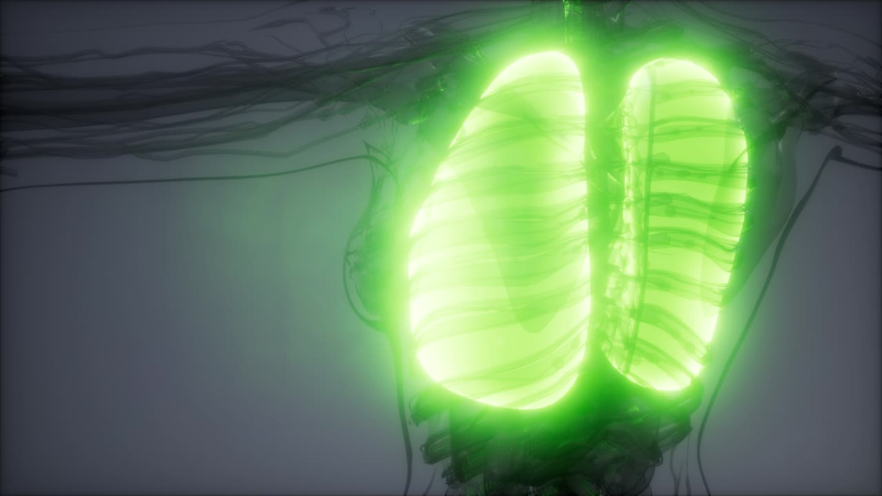 examen radiológico de los pulmones humanos