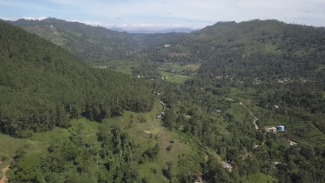 descenso aéreo cuando el tren desaparece en una curva en el bosque de montaña
