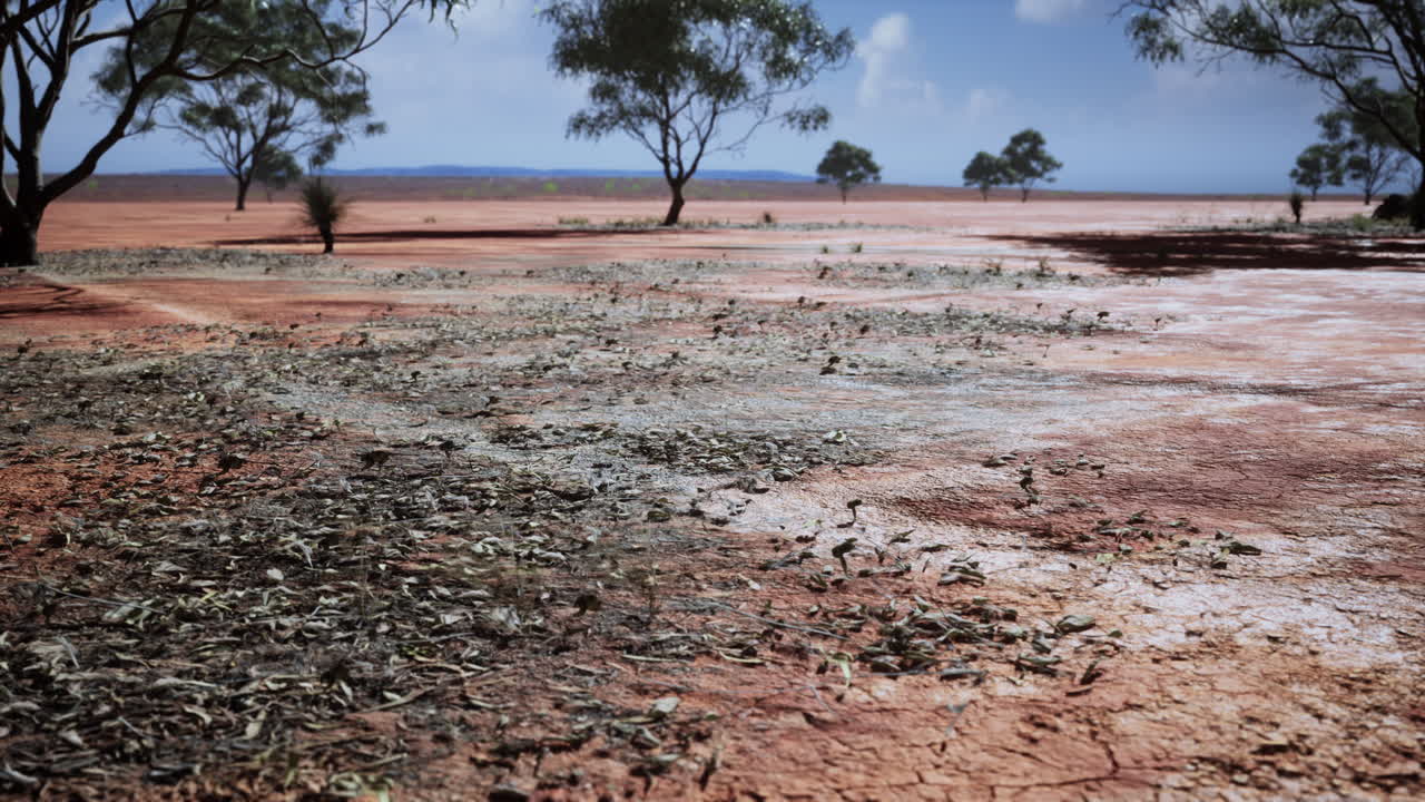 tierra seca de suelo agrietado durante la estación seca