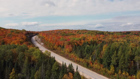 Aerial-ascending-footage-of-road-leading-through-vast-woodlands