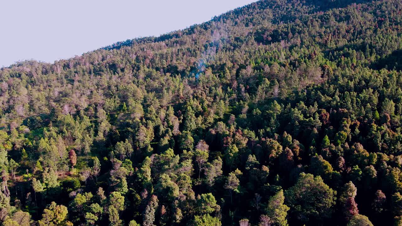 Flyover tropical forest with a small point of fire that emit smoke