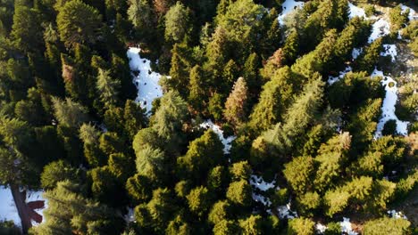 Schneebedeckter-Bergwald-Luftaufnahme-Atemberaubende-Naturlandschaft