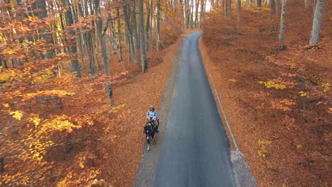 Horseback-riding-in-an-orange-forest-with-tall-trees