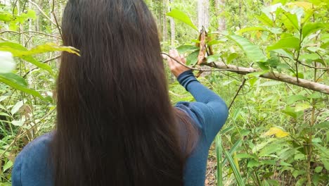 chica con el pelo largo caminando por la montaña del bosque tropical