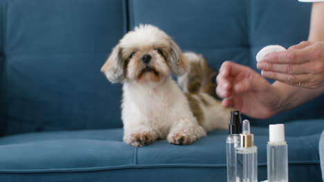 woman and dog at home