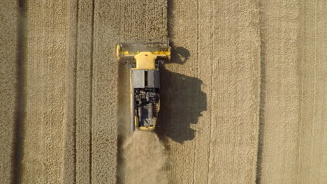 Harvester-working-in-wheat-field