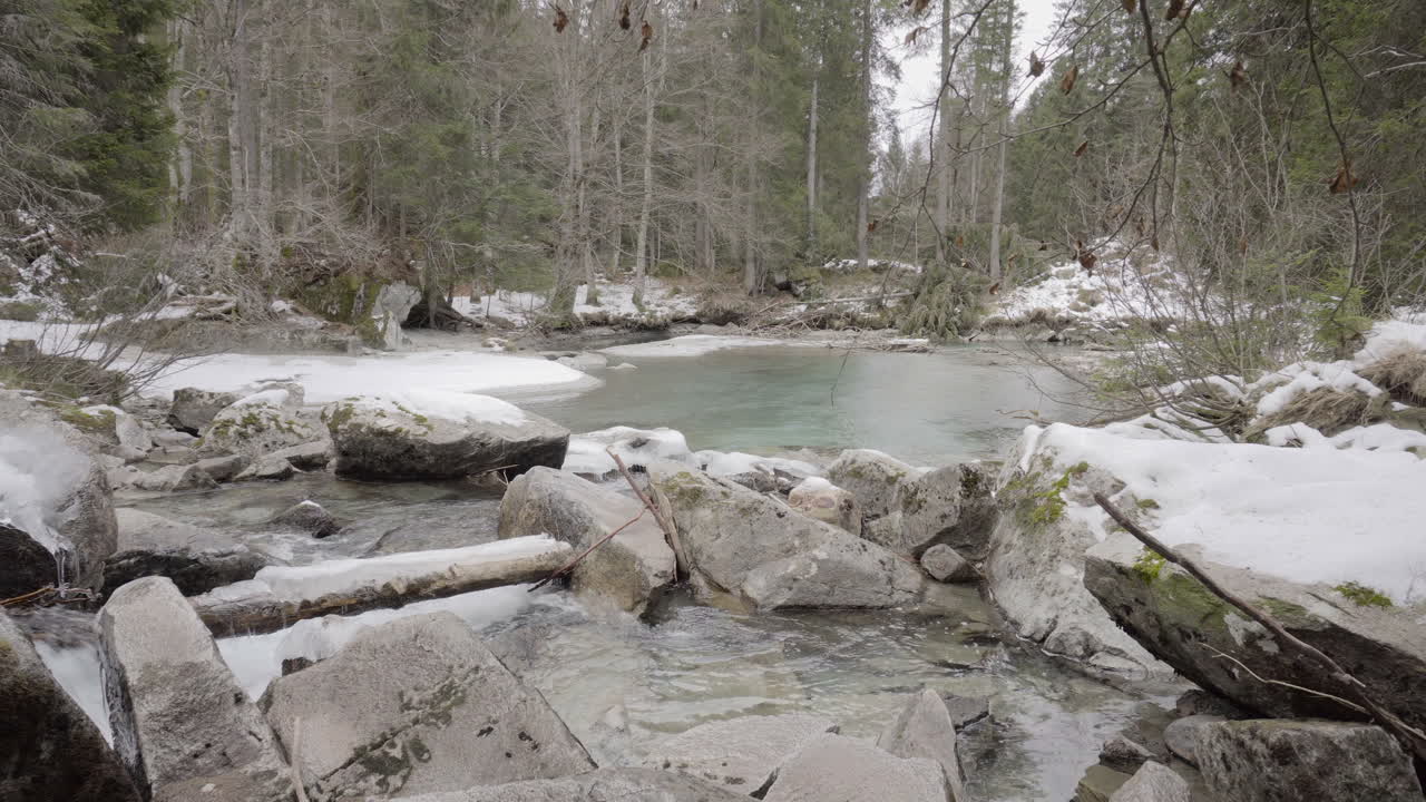 лес со снегом и прудом 4k sony a6300 25p s-log2