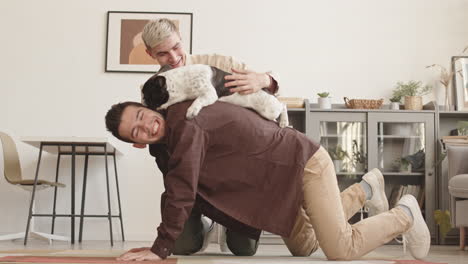 two young men playing with french bulldog at home