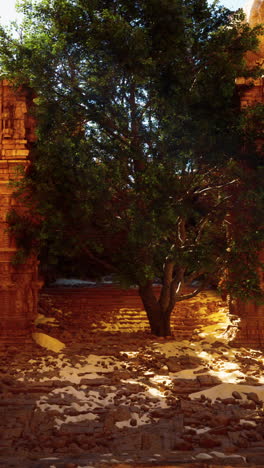 ancient ruins with a tree in the middle