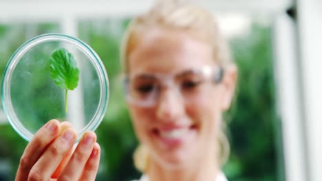 beautiful woman examining leaf