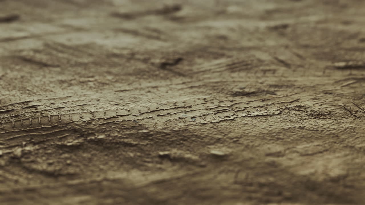 Detailed textured surface showcasing natural patterns in earthy tones