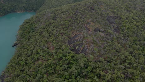 Tropischer-Wald-Auf-Hook-Island-Mit-Blick-Auf-Den-Nara-einlass-In-Whitsunday-Island,-Qld,-Australien