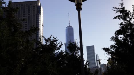 Walking-in-Central-Park-New-York-City-skyline-tower-view-during-a-sunny-day,-cityscape-between-evergreen-tree