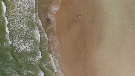 aerial top down view of calm small waves crashing against the white undisturbed and isolated sand beach