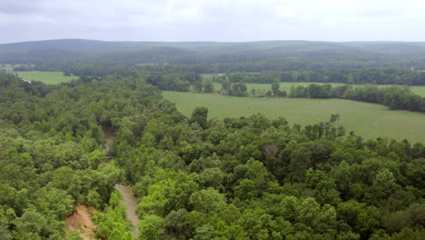 Tire-Hacia-Atrás-Sobre-Los-árboles-Y-El-Hermoso-Paisaje-De-Pastos-Abiertos-Con-Un-Arroyo-En-El-Sur-De-Missouri-En-Un-Día-Nublado-De-Verano