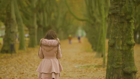 lone young woman walks through avenue park with blurry autumn landscape, back view, slow motion