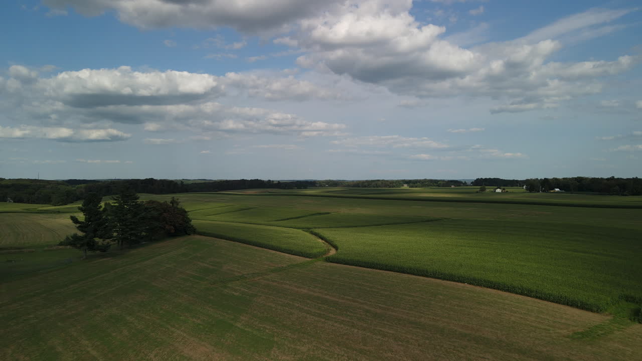 солнечный свет движется над кукурузным полем на ферме