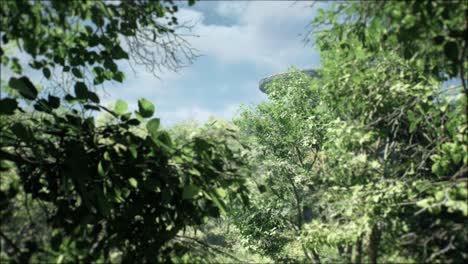 stunning long shot through the canopy of trees in a forest in the wilderness, as a huge circular ufo flying saucer spins slowly over the woodlands