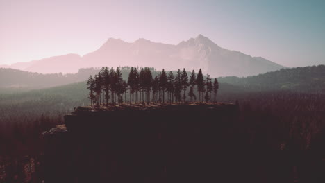 Misty mountain forest landscape in the morning
