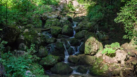 Cascada-Del-Bosque-Que-Fluye-A-Través-De-Las-Rocas.-Panear-Hacia-Arriba