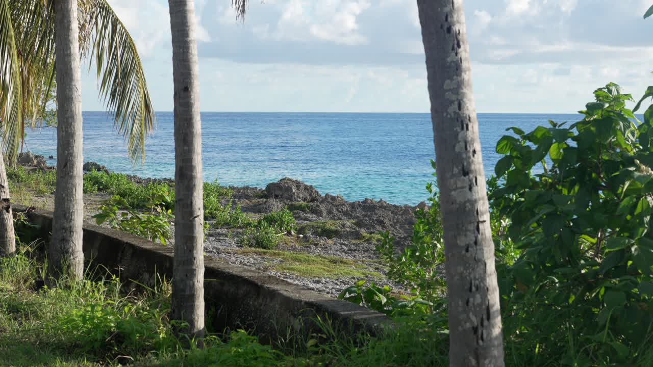 Scenic view of a rocky coastline with palm tree San Andres island Colombia