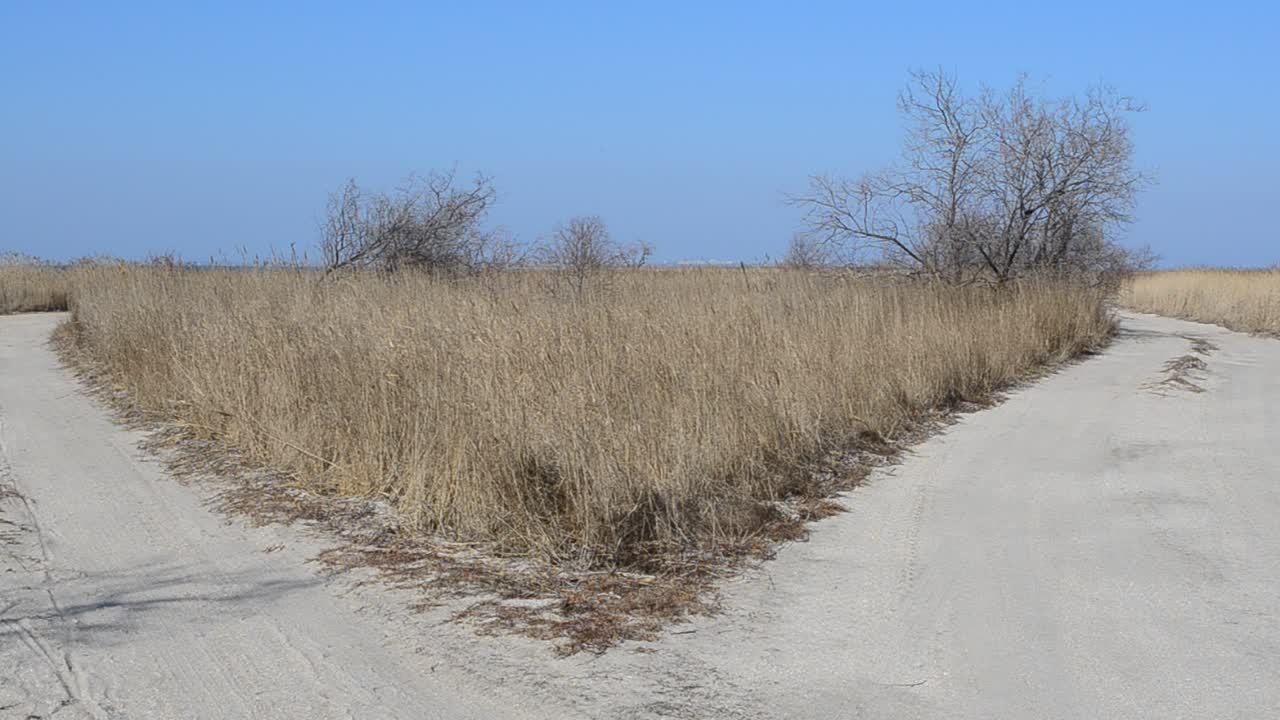 De weg tussen riet. Wegsplitsing