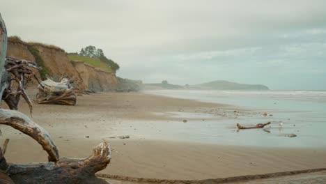 primer plano, reveladora toma de una playa vacía con un tronco de árbol lavado en la playa en nueva zelanda