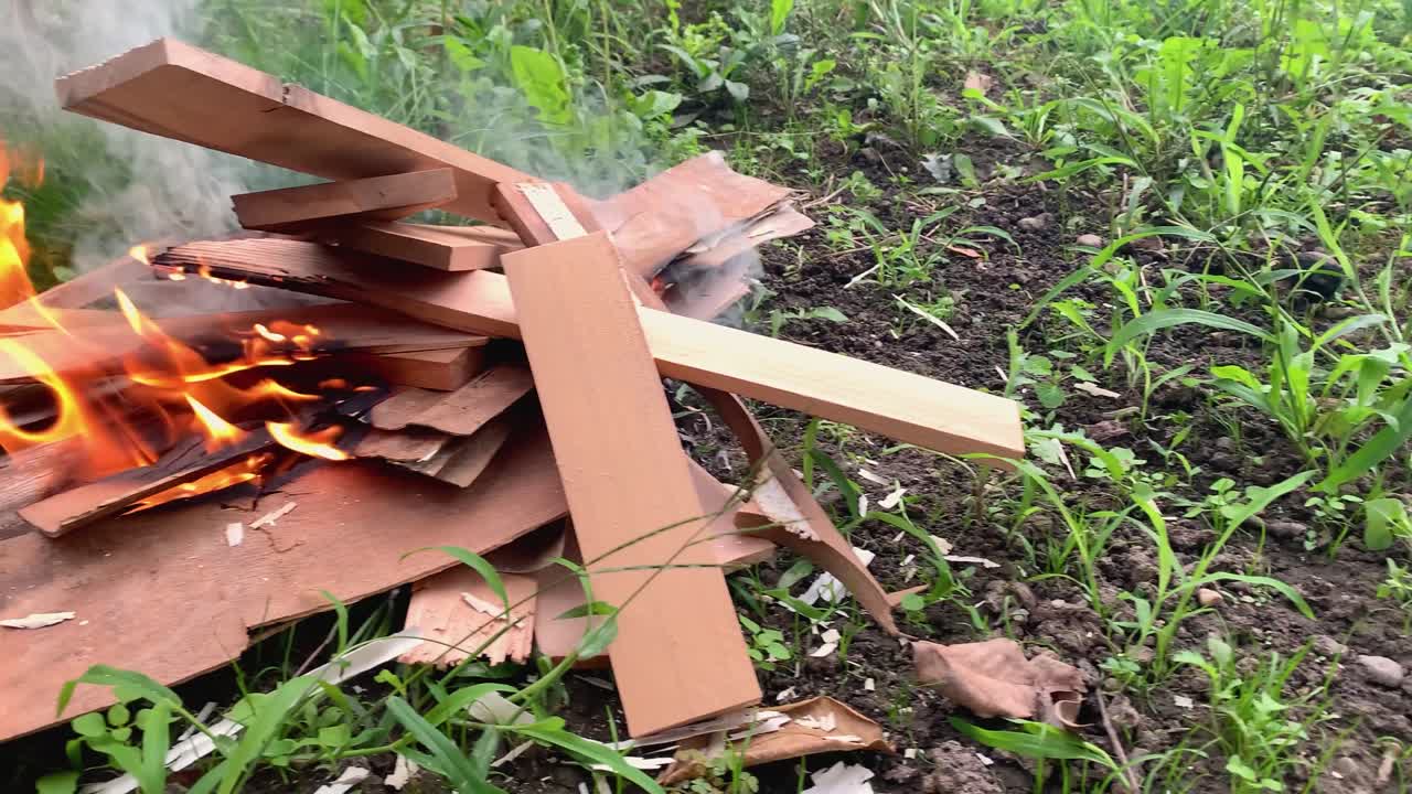 잔디 위의 나무에 불의 슬로우 모션