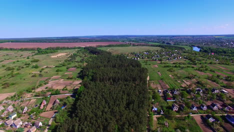 Little forest planting of pine trees in the countryside. Beautiful village with lots of cottages on the bank of the river. Aerial perspective.